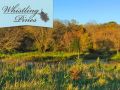 WhistlingPines2