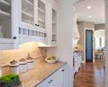 17320 Butler Pantry