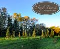 Maple Brook Neighborhood Gallery Image