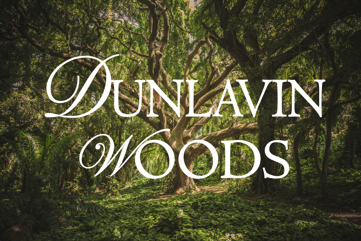 Dunlavin Woods Creek Hill Custom Homes MN