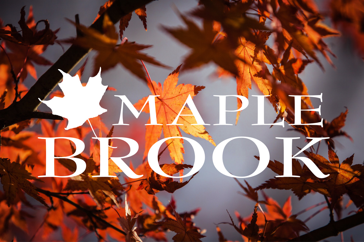 Maple Brook