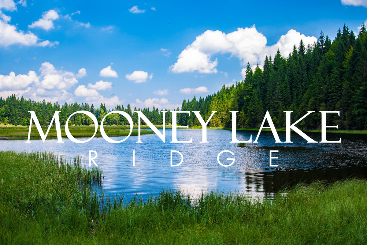 Mooney Lake Ridge Logo Background
