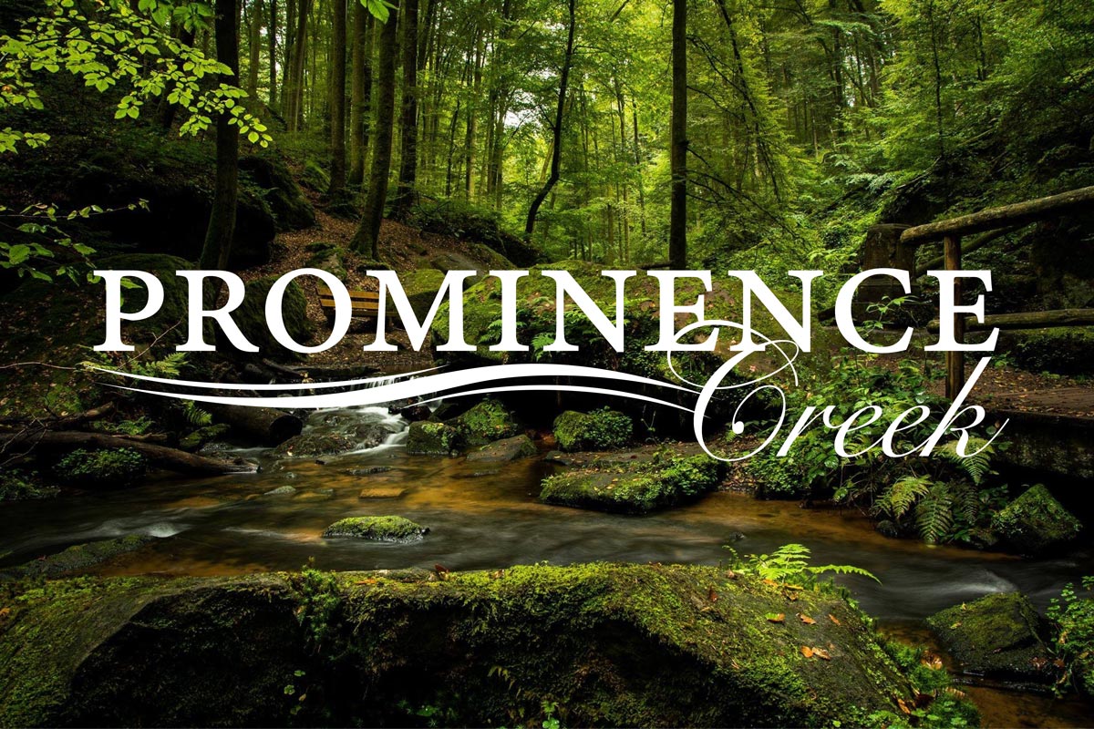 Prominece Creek