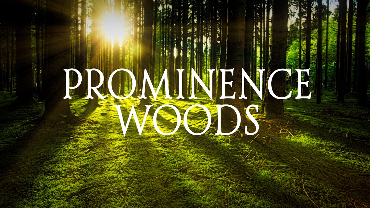 Prominence Woods