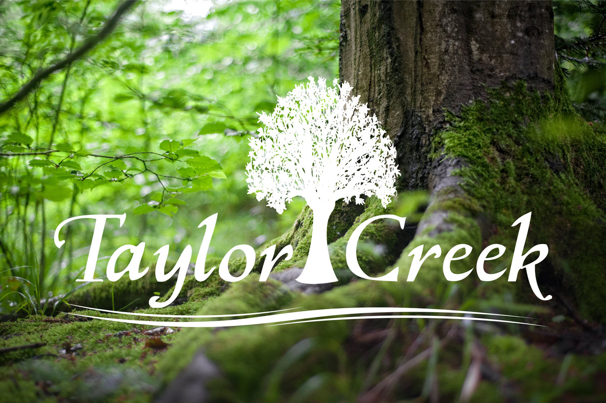 Taylor Creek