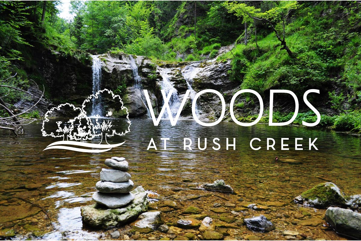 Woods at Rush Creek